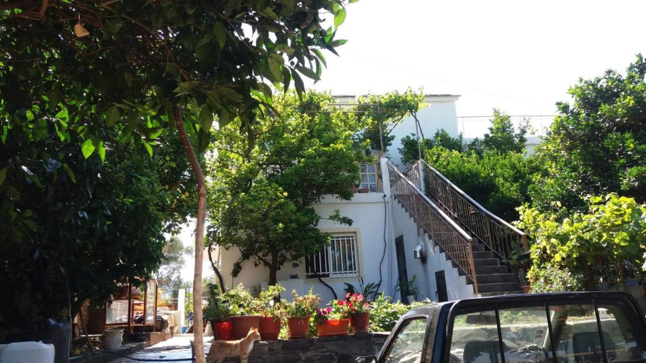 Traditional House In Akamatra Square Exterior photo