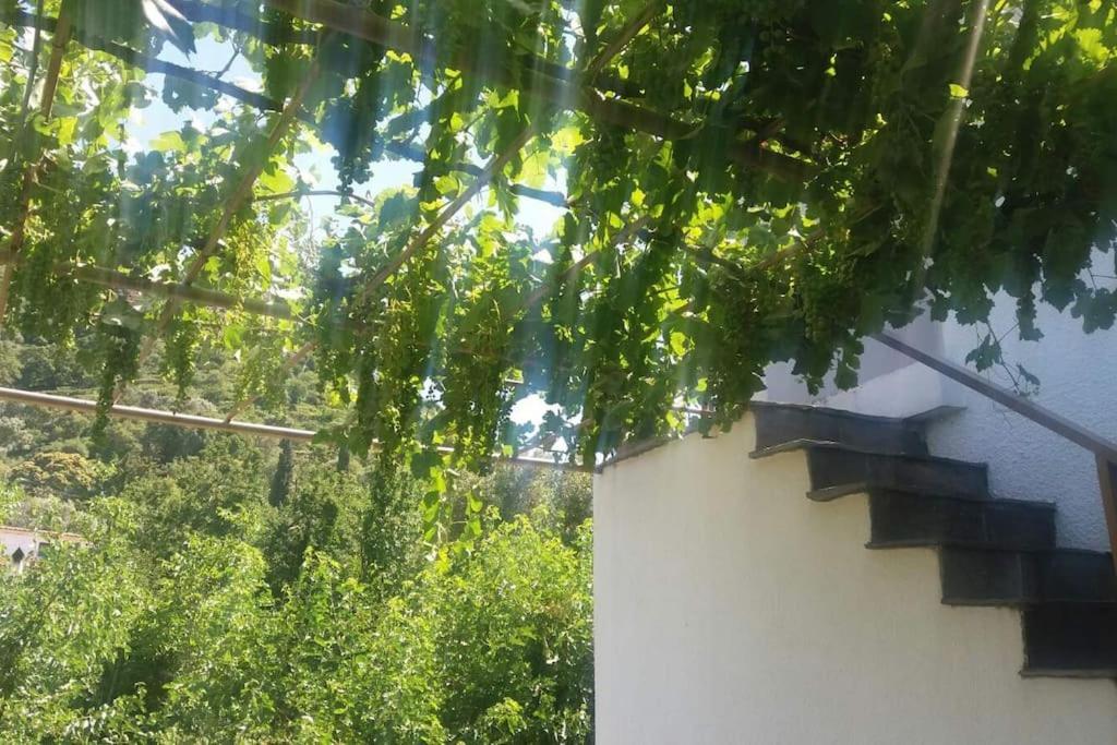 Traditional House In Akamatra Square Exterior photo